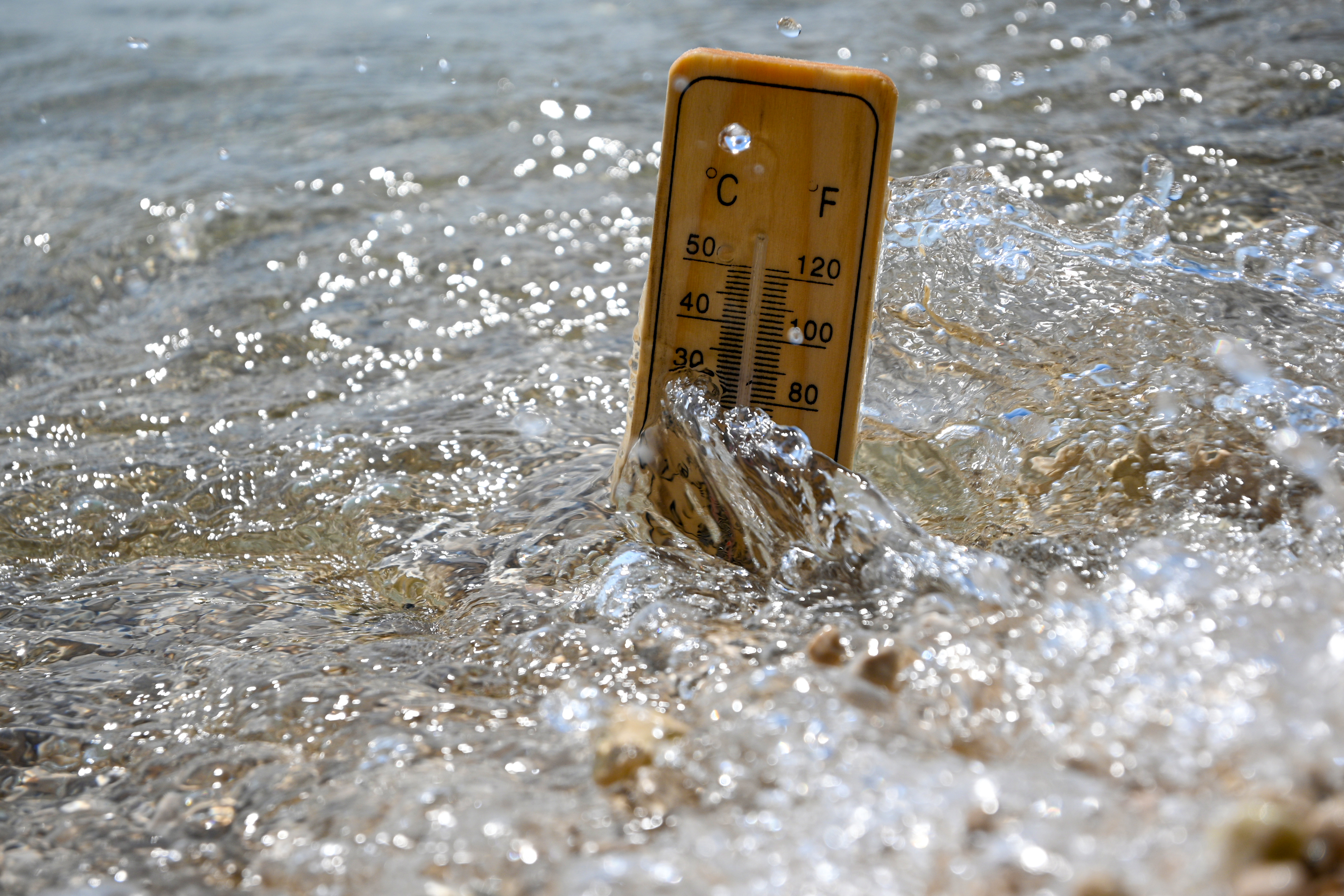 Wooden thermometer measuring increasing temperature of sea water during heat wave.