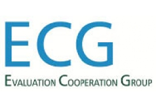 Evaluation Cooperation Group (ECG)