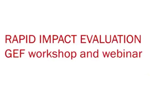 Webinar on Rapid Impact Evaluation