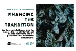 Financing the transition