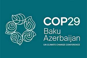 IEO Contributions to the UNFCCC COP29 report