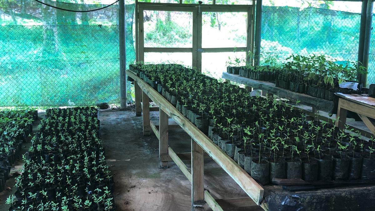 GEF Samoa Mission 2020