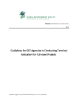 GEF Guidelines TE FSP 2017
