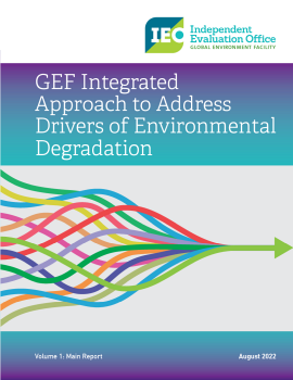 Environmental Degradation