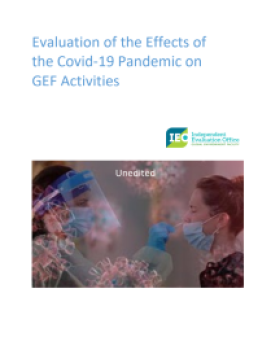 GEF COVID-19 Interventions
