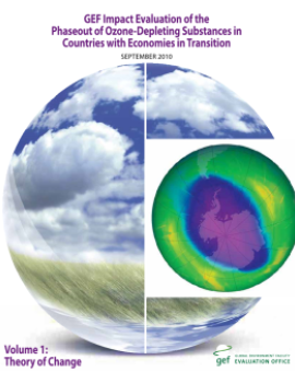 Ozone Depleting Substances 2010