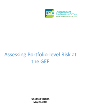 Portfolio-Level Risk
