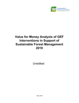 VfM 2019 Forest Management