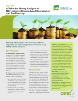 VfM 2016 Land Degradation Brief