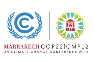 Cop 22 Climate Change