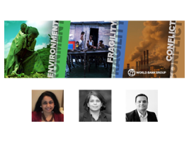 WB Webinar Fragility 2021