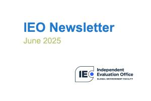 IEO Newsletter 2025 06