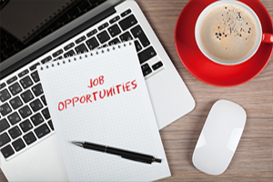 Jobs 202410 Data Scientist