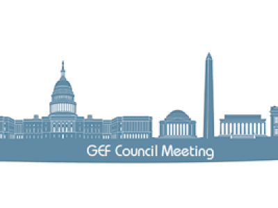 Council Meeting