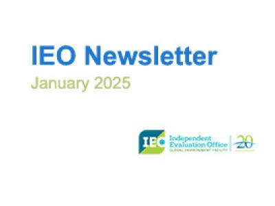 IEO Newsletter 2025 01