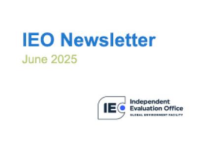 IEO Newsletter 2025 06